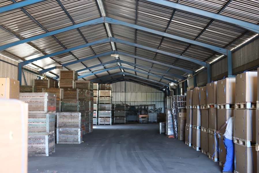 0 Bedroom Property for Sale in Haarlem Western Cape